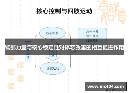 臂部力量与核心稳定性对体态改善的相互促进作用